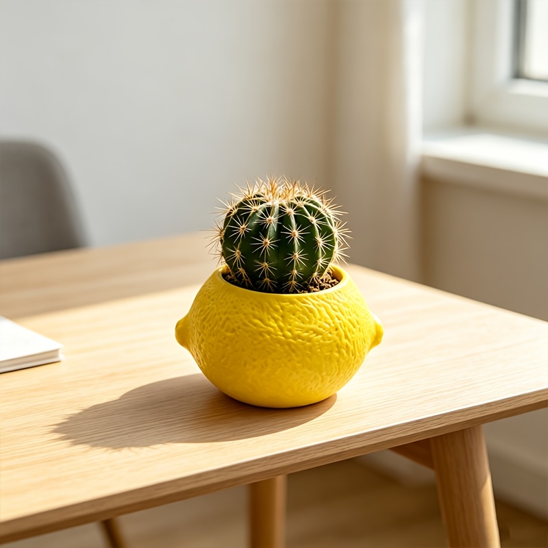 Echeveria Succulent - Lemon Shape Decorative Planter Pot For