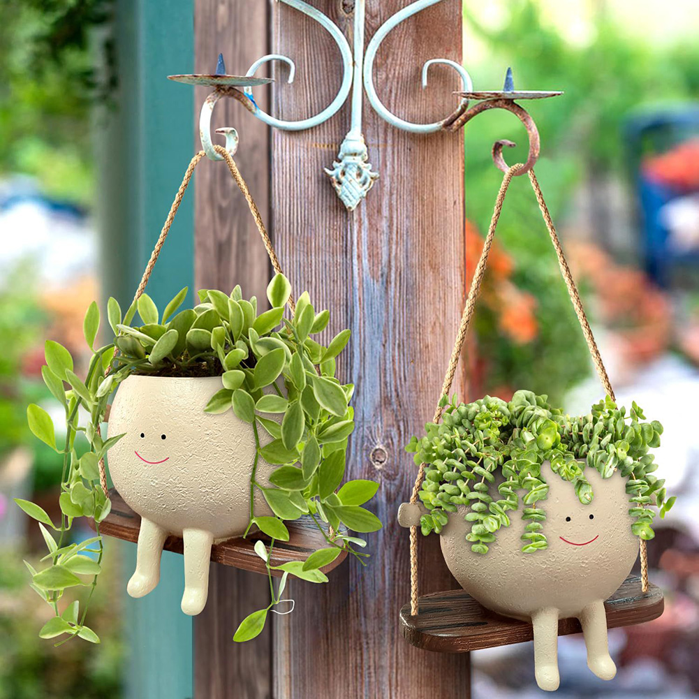 Plant Hanger Baskets Lovely Sw - Echeveria Succulent review and price