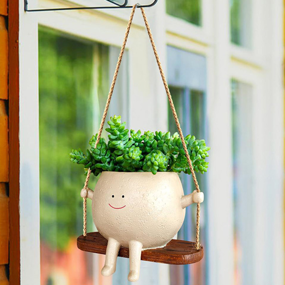 Plant Hanger Baskets Lovely Sw - Echeveria Succulent review and price