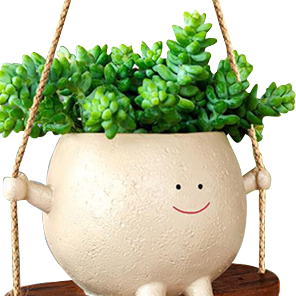 Plant Hanger Baskets Lovely Sw - Echeveria Succulent review and price