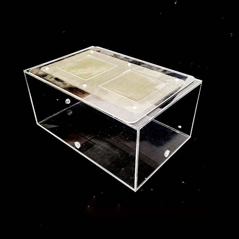 Acrylic Finished Seamless Ant  - Begonia Rex review and price