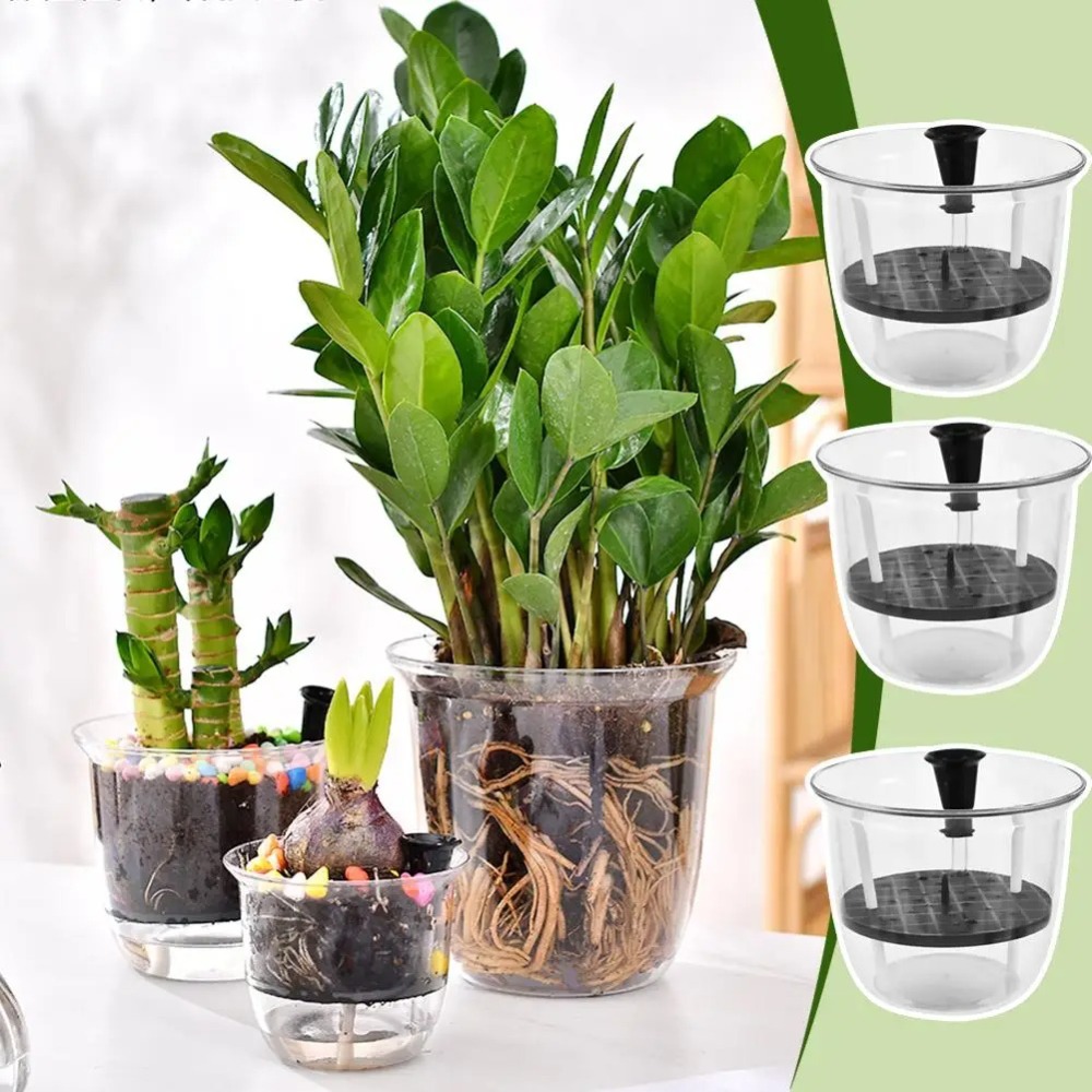 2Pcs Self-Watering Pot, Pots f - Aloe Vera Pot review and price