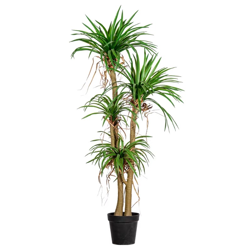 Indoor/Outdoor Home Tree Simul - Dracaena Marginata review and price