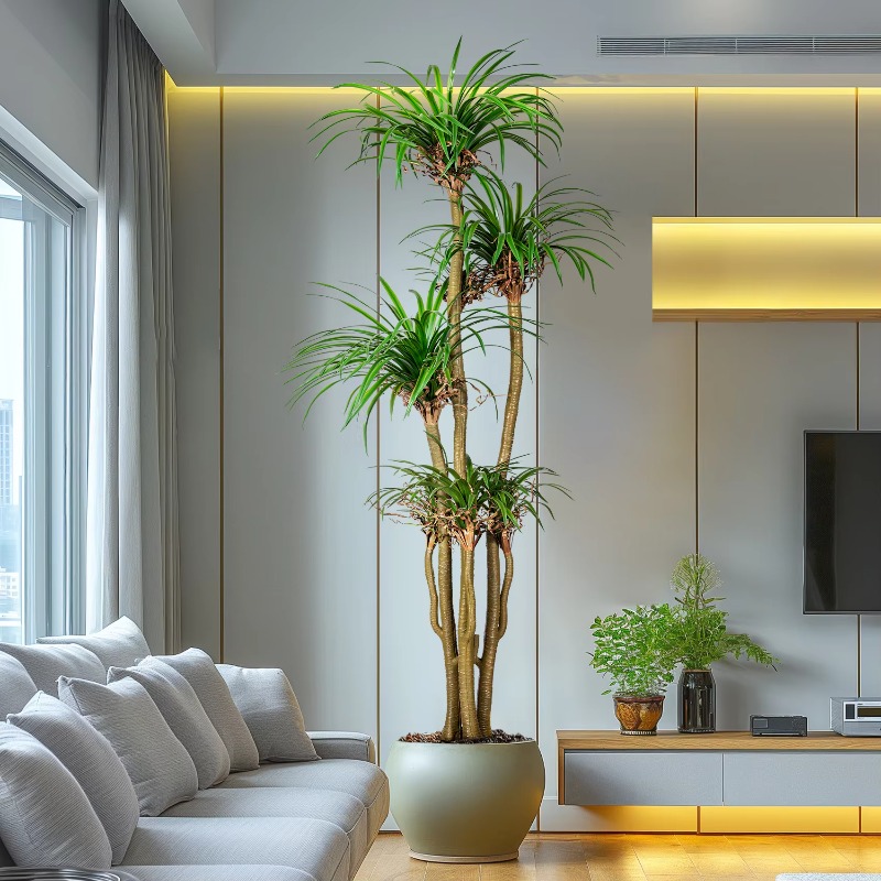 Indoor/Outdoor Home Tree Simul - Dracaena Marginata review and price