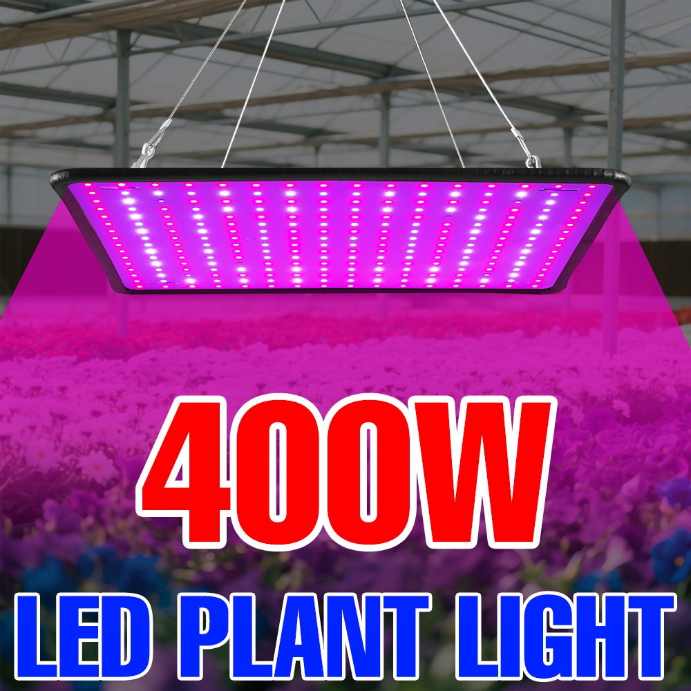 400W LED Grow Light Full Spect - Echeveria Succulent review and price