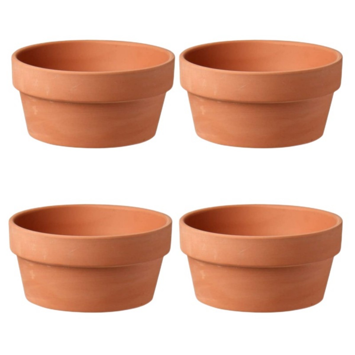 6 PCS Terracotta Buld Pots 3.5 - Echeveria Succulent review and price