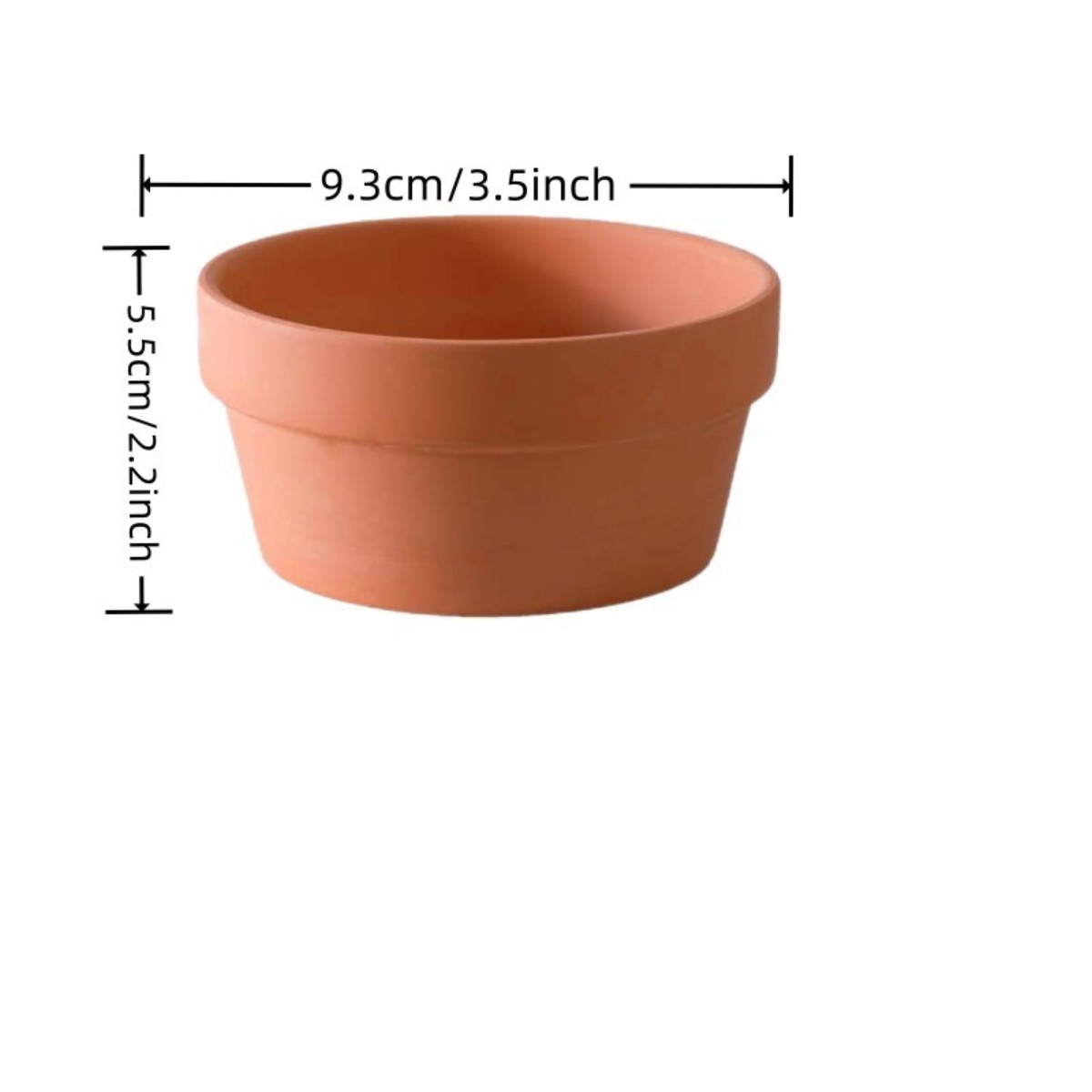 6 PCS Terracotta Buld Pots 3.5 - Echeveria Succulent review and price