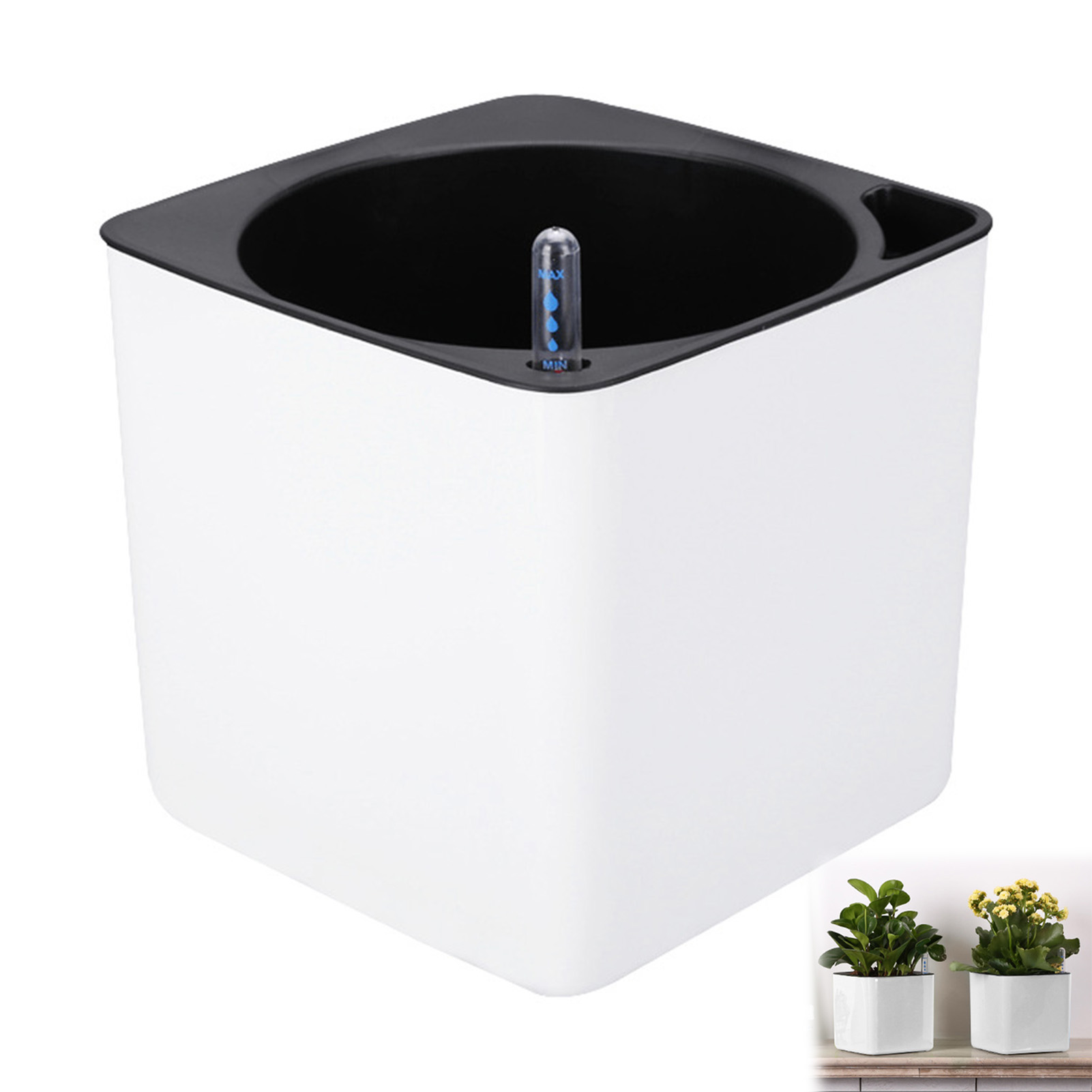 Automatic Self Watering Flower - Aloe Vera Pot review and price