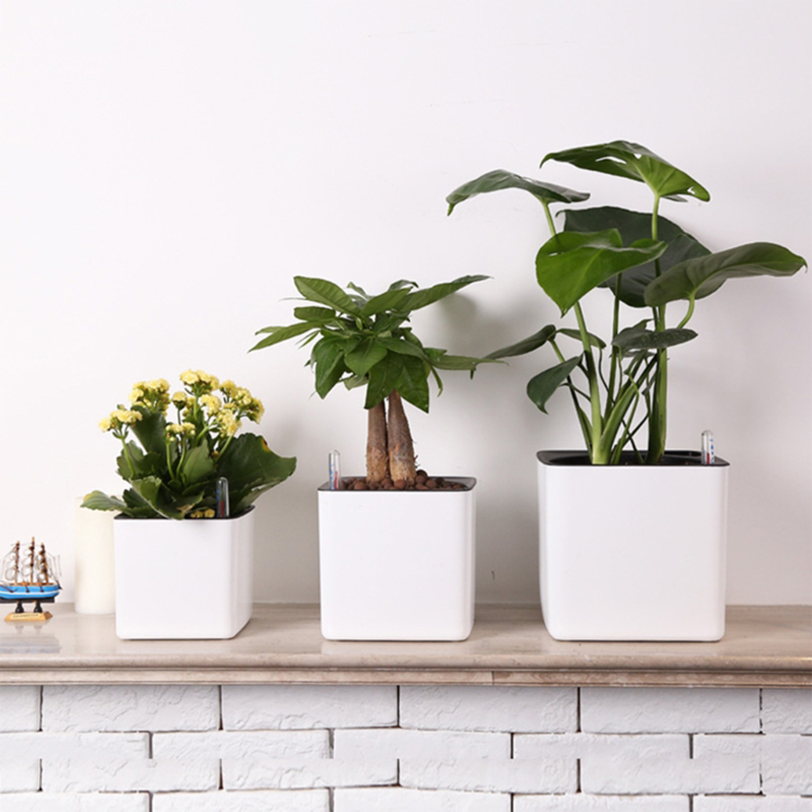 Automatic Self Watering Flower - Aloe Vera Pot review and price