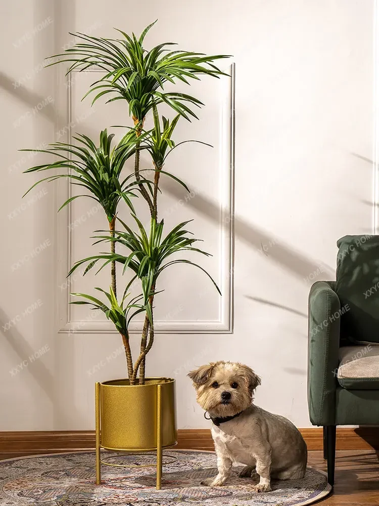 Simulation Colorful Ponytail I - Dracaena Marginata review and price