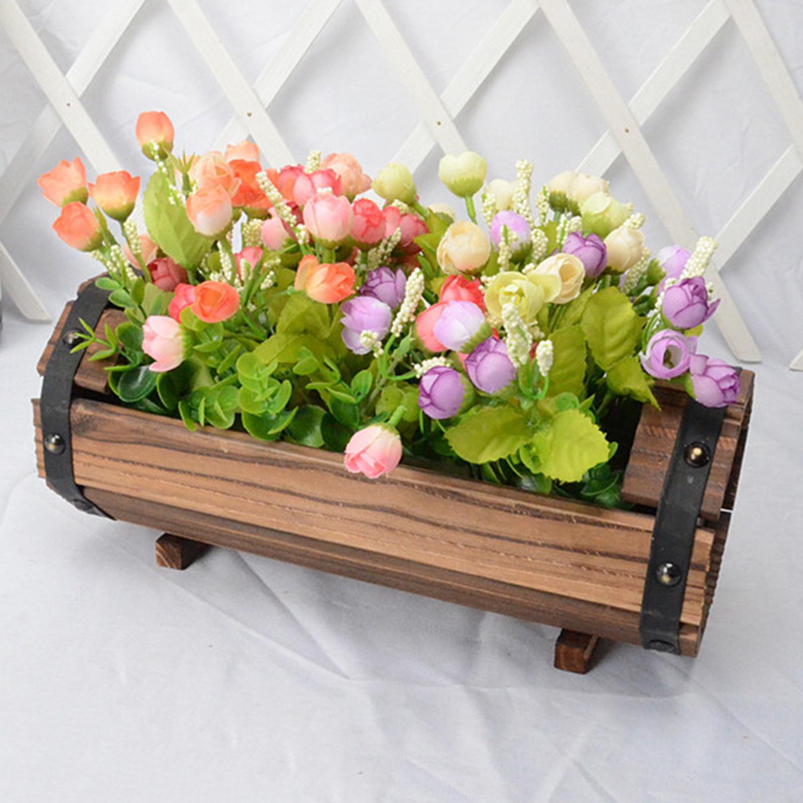 Antique Decorative Flower Pot  - Echeveria Succulent review and price
