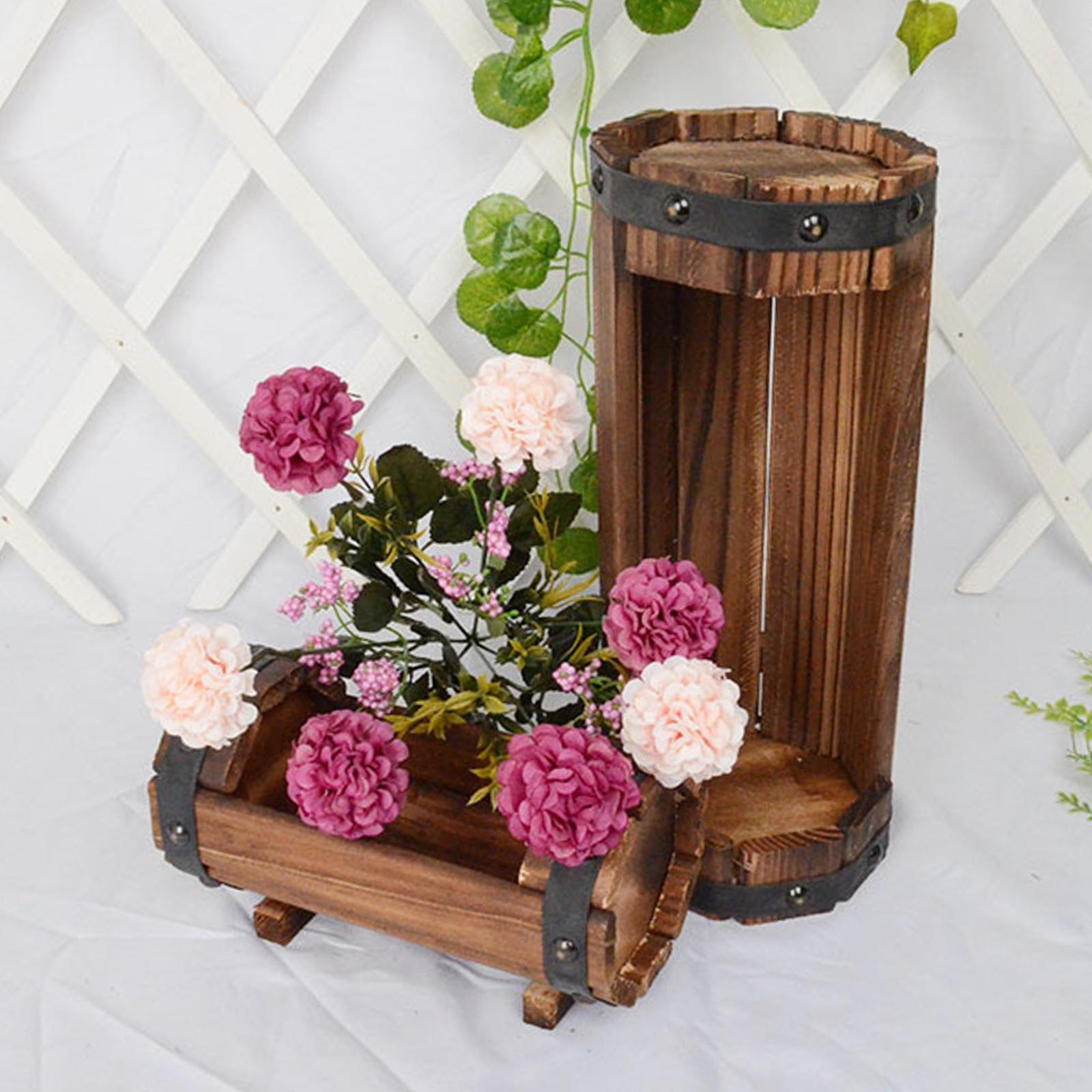 Antique Decorative Flower Pot  - Echeveria Succulent review and price