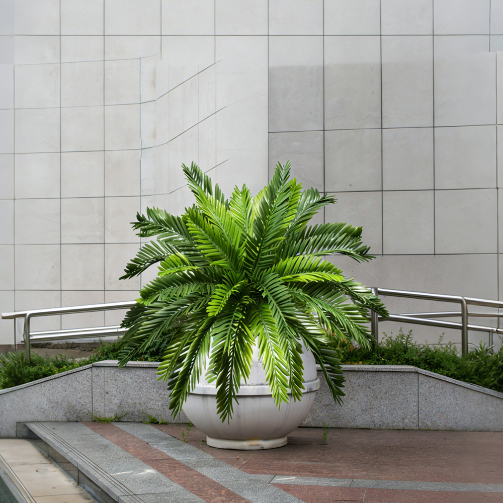45cm Artificial Palm Plants Fa - Dracaena Marginata review and price