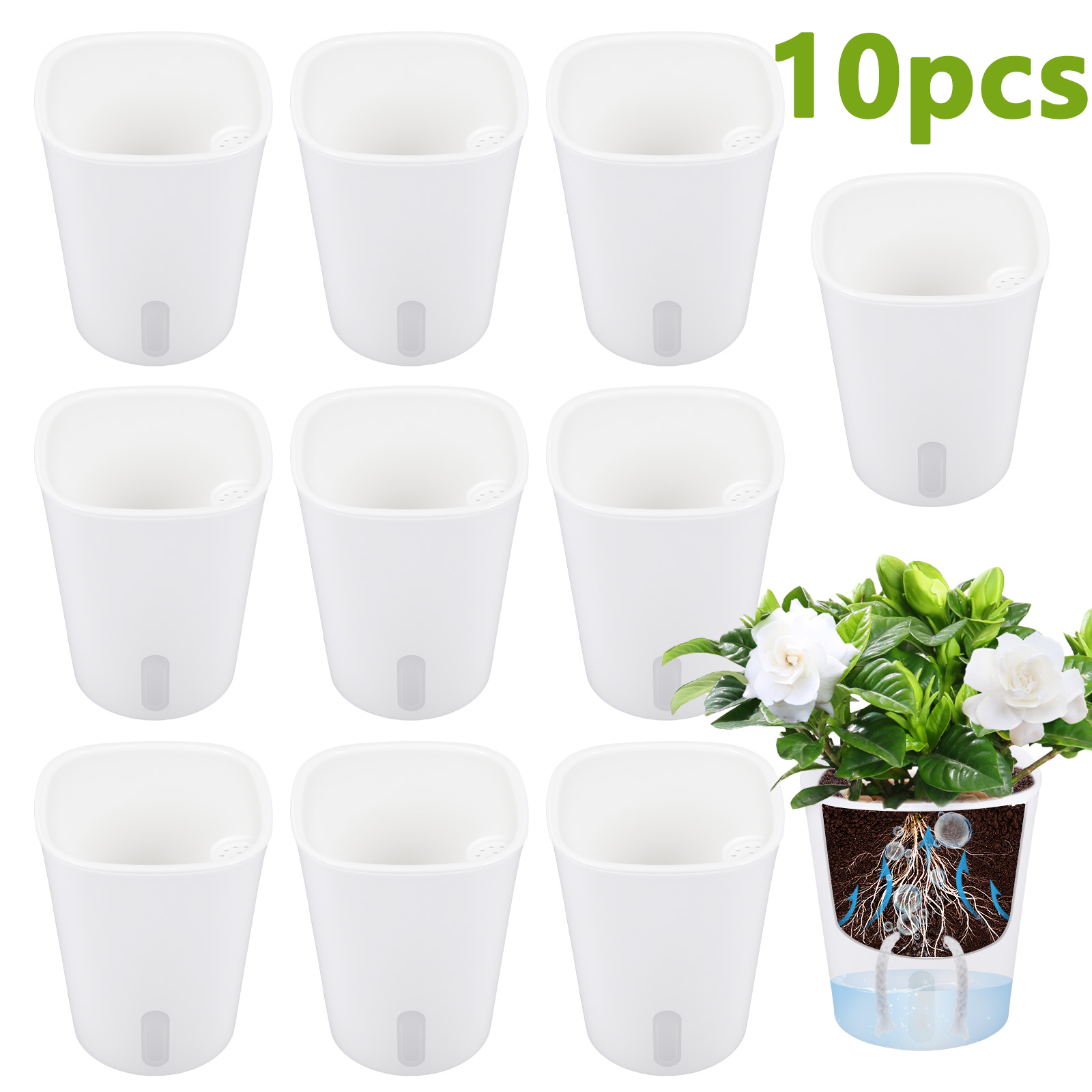 10Pcs Self Watering Plastic Fl - Aloe Vera Pot review and price