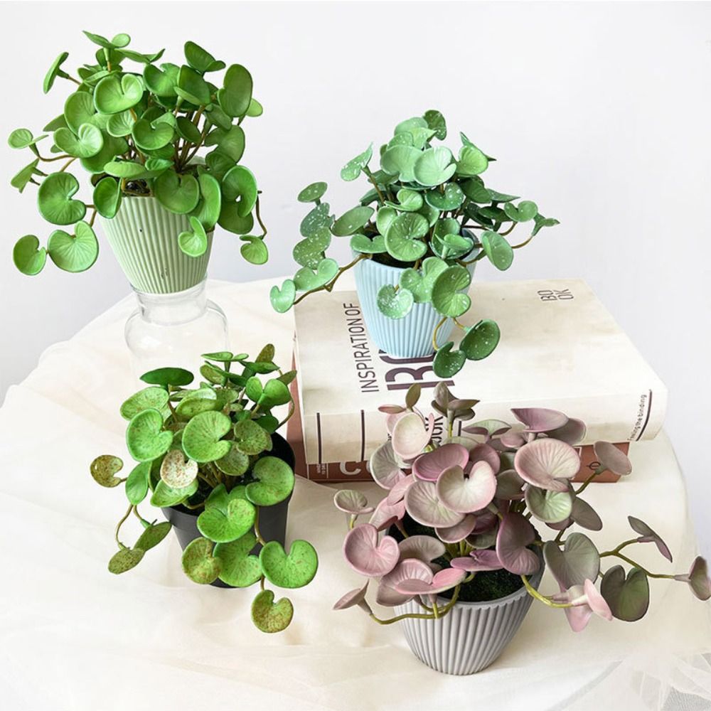 Soft Glue Artificial Plant EVA - Echeveria Succulent review and price