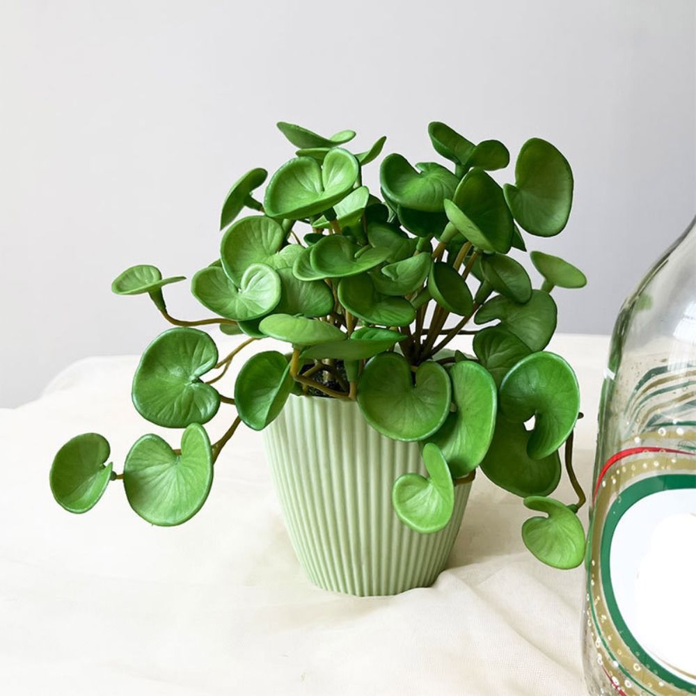 Soft Glue Artificial Plant EVA - Echeveria Succulent review and price