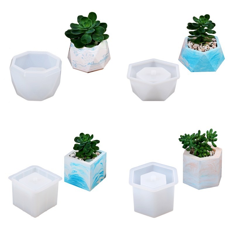 Succulent Flowerpot Silicone M - Echeveria Succulent review and price