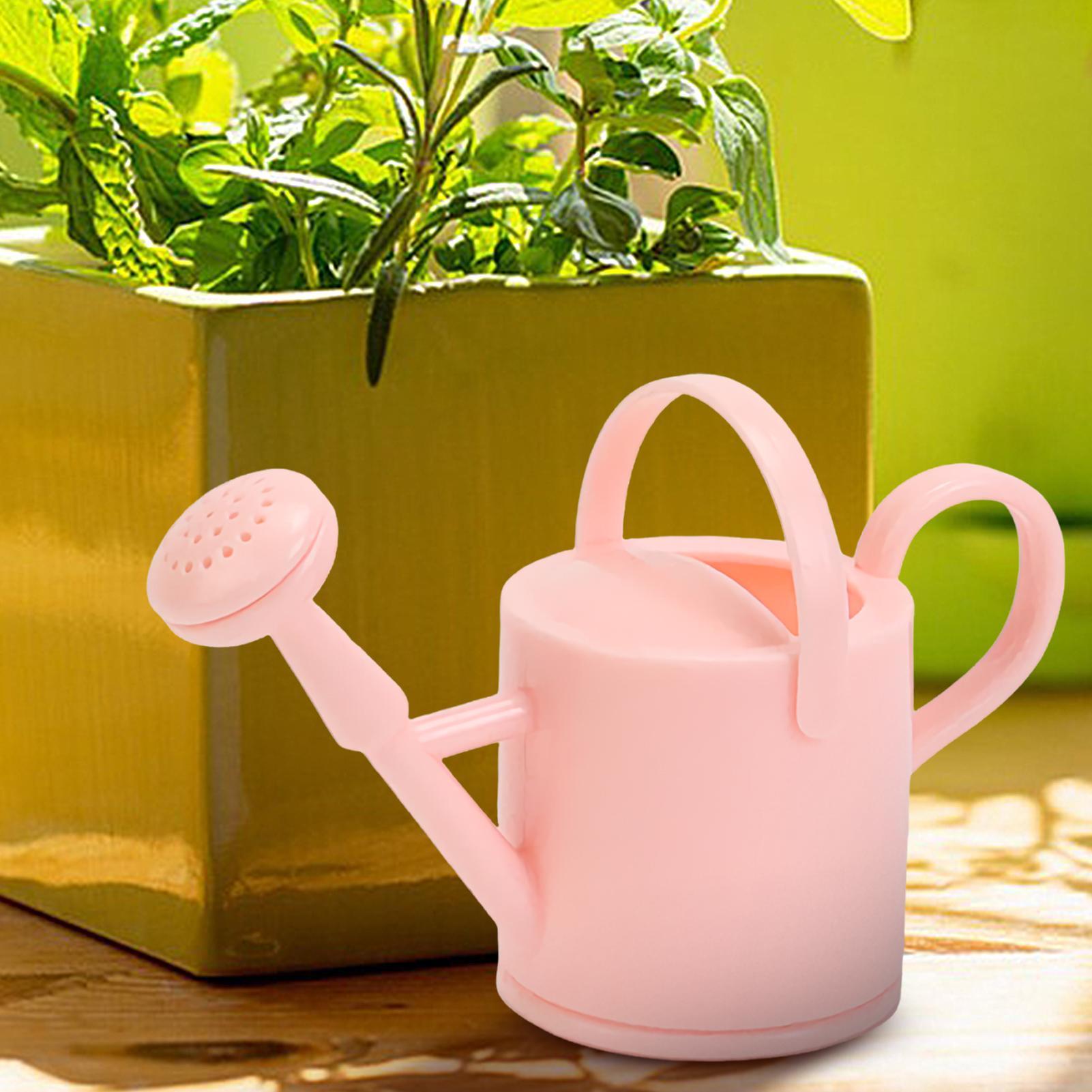 Small Kids Watering Can Flexib - Echeveria Succulent review and price
