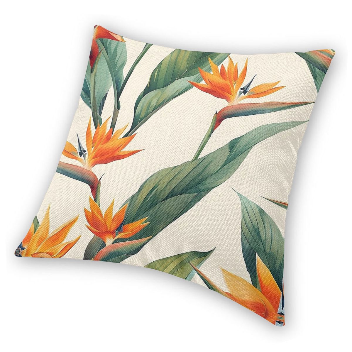 Bird Of Paradise Strelitzia Sq - Bird Paradise Strelitzia review and price