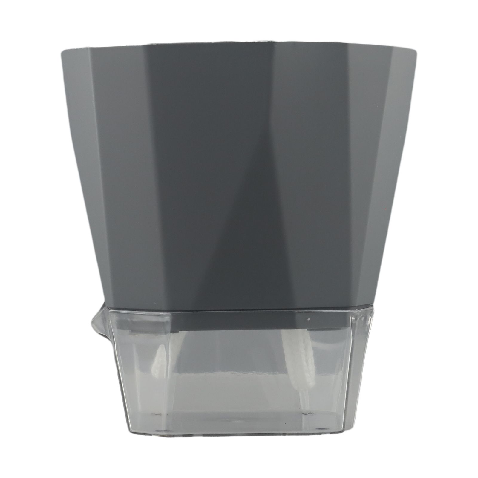 Bedrooms Transparent Flower Po - Aloe Vera Pot review and price