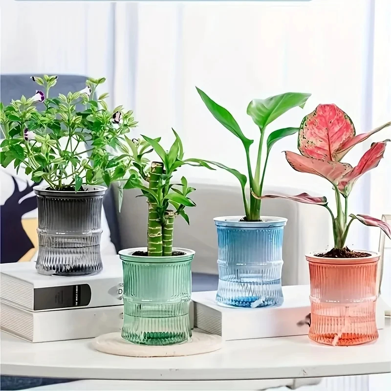 Transparent Double Layer Self  - Aloe Vera Pot review and price