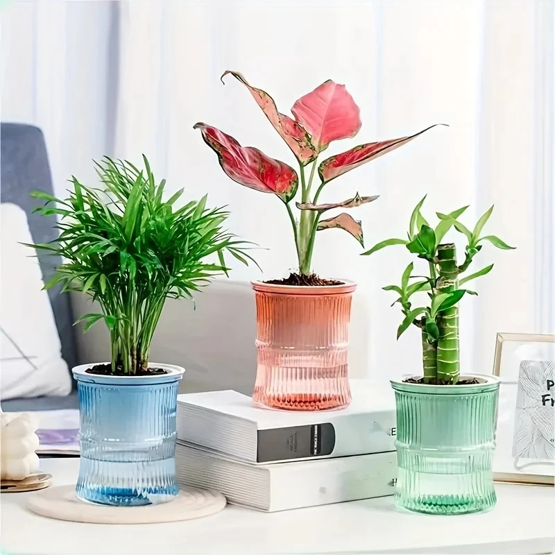 Transparent Double Layer Self  - Aloe Vera Pot review and price