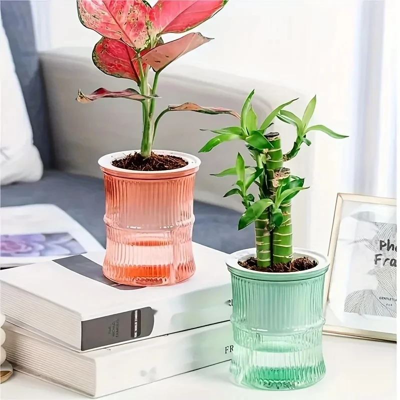 Transparent Double Layer Self  - Aloe Vera Pot review and price