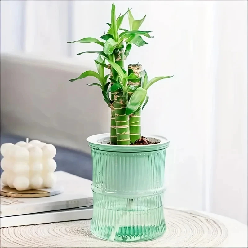 Transparent Double Layer Self  - Aloe Vera Pot review and price