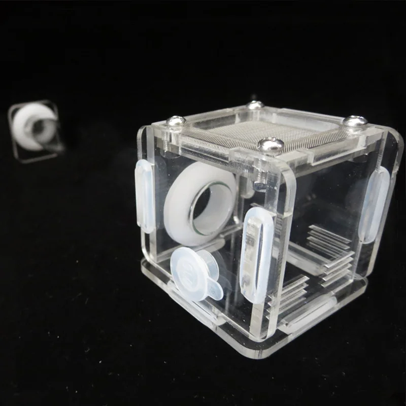 DIY Various Size Ant Farm Bamb - Begonia Rex review and price