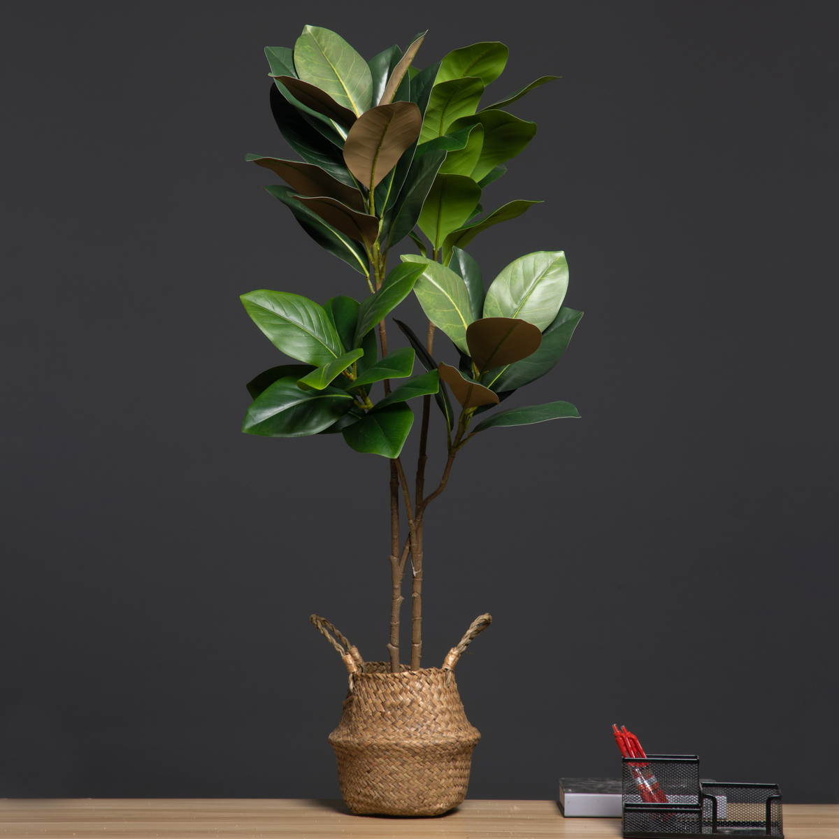 105cm 2 Forks Large Artificial - Dracaena Marginata review and price