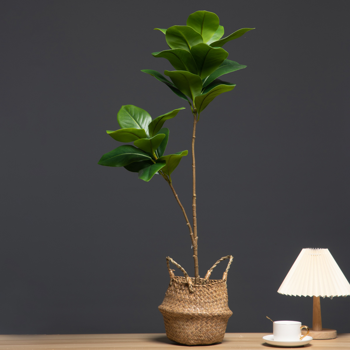 105cm 2 Forks Large Artificial - Dracaena Marginata review and price
