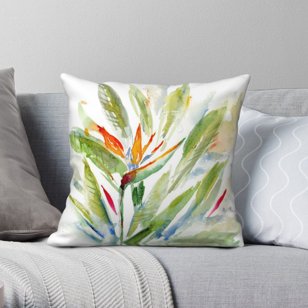 Bird Of Paradise Strelitzia Sq - Bird Paradise Strelitzia review and price