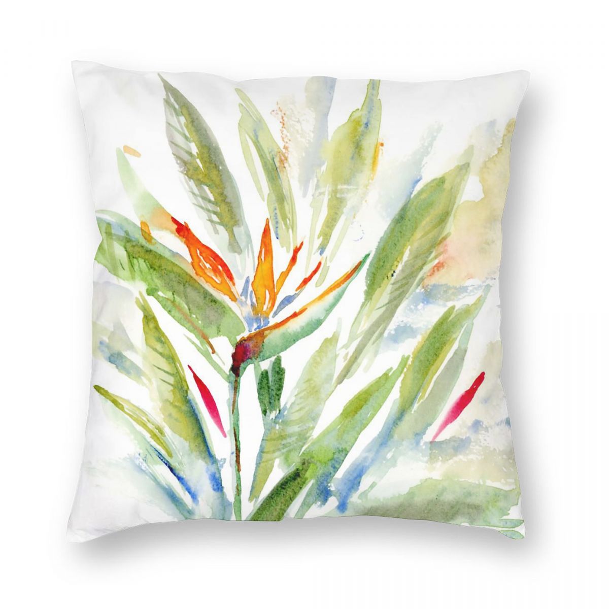 Bird Of Paradise Strelitzia Sq - Bird Paradise Strelitzia review and price