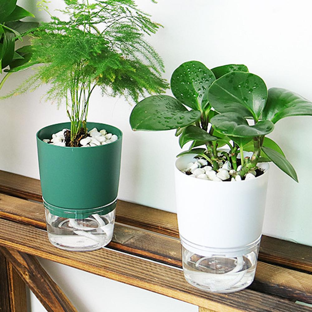 Self Watering Plastic Flower P - Aloe Vera Pot review and price