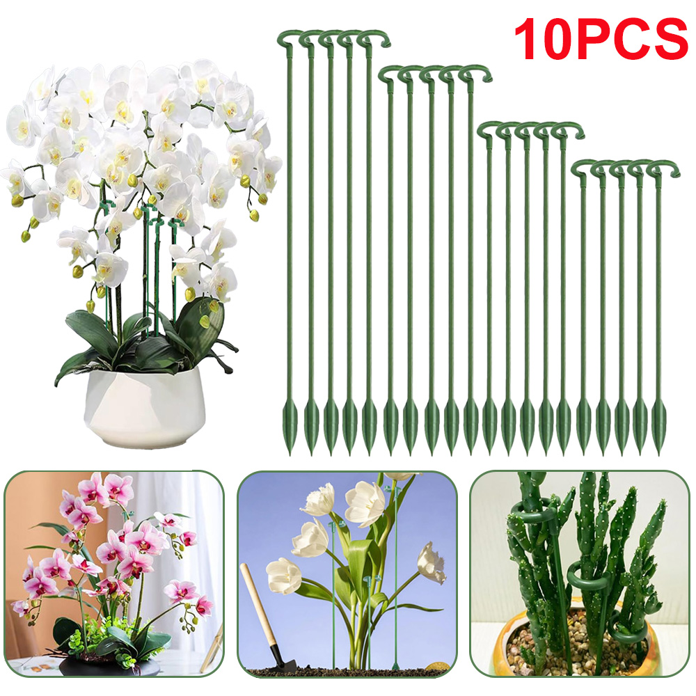 5/10pcs Plant Support Stakes P - Echeveria Succulent review and price