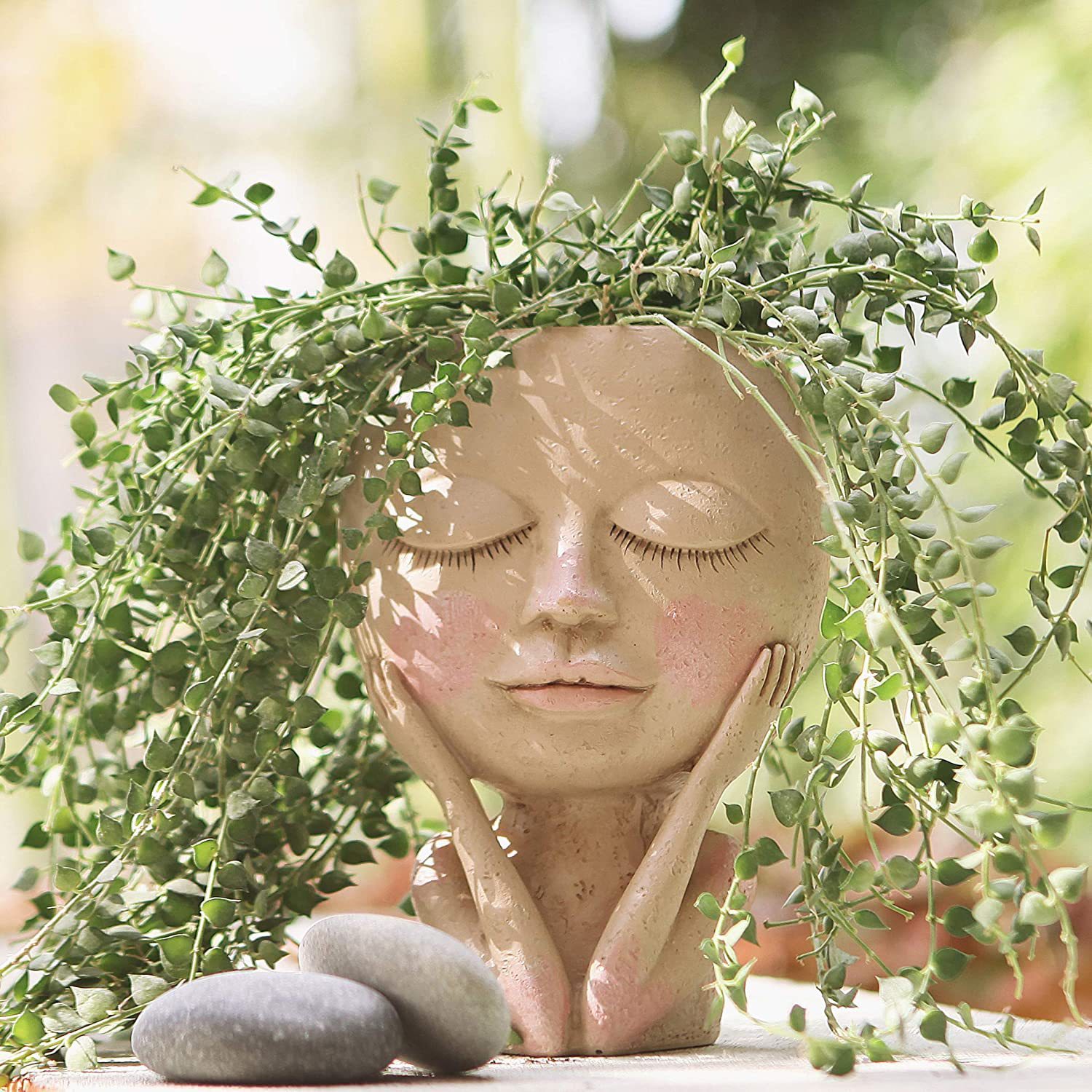 Girls Face Head Flower Planter - Echeveria Succulent review and price
