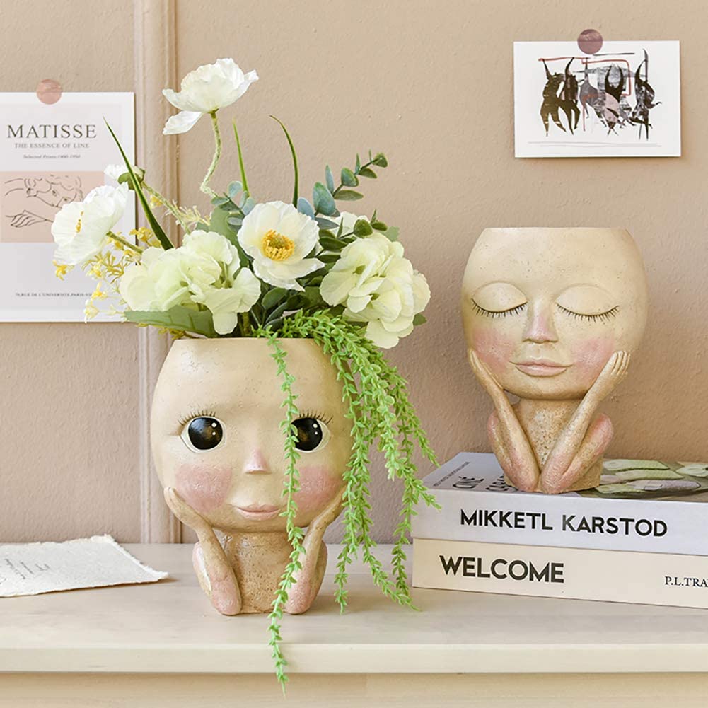 Girls Face Head Flower Planter - Echeveria Succulent review and price