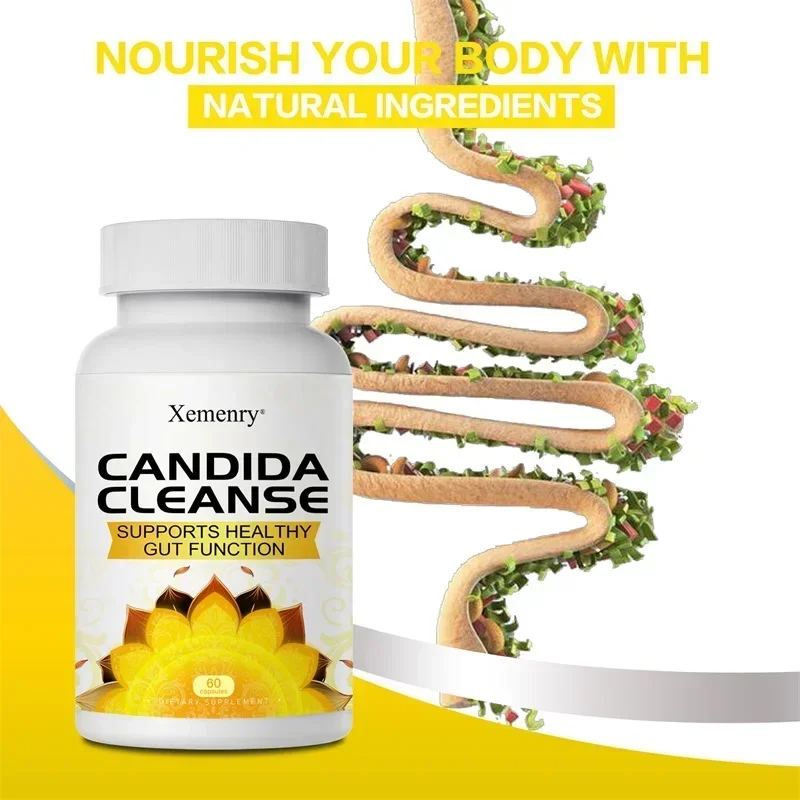 Candida Cleanse - Intestinal a - Aloe Vera Pot review and price