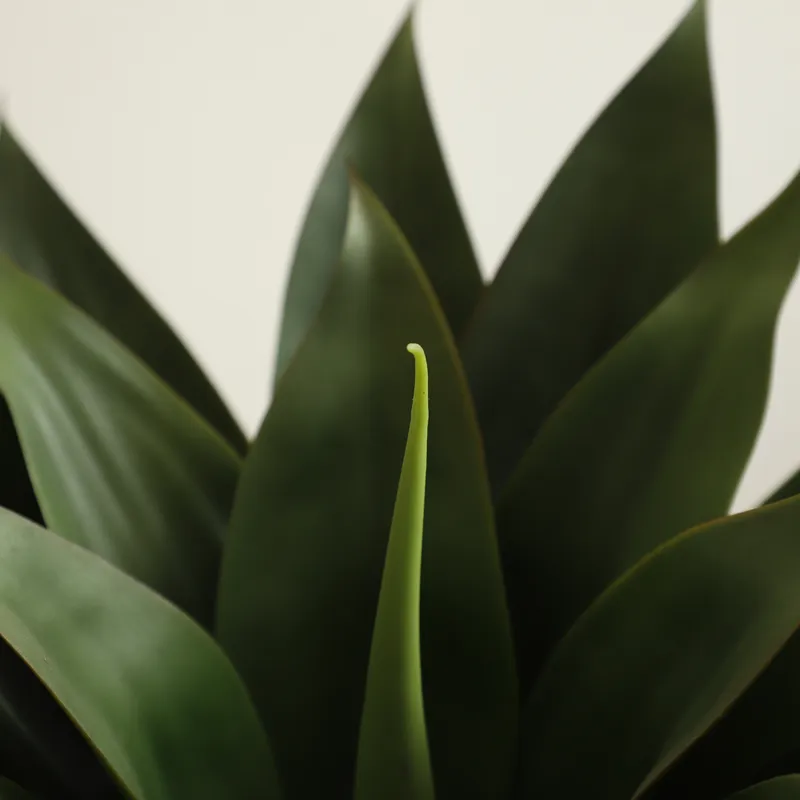 Artificial Potted Aloe Vera Pl - Aloe Vera Pot review and price